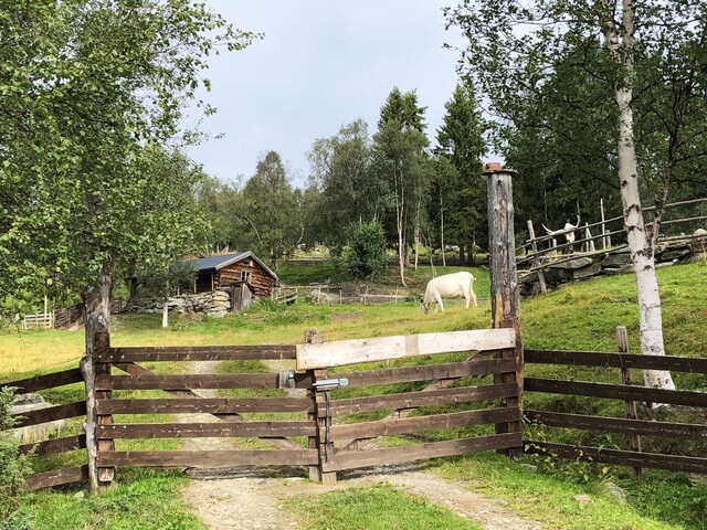 oster naar spellmovollen 2