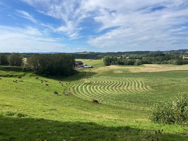 oster naar trondheim 2