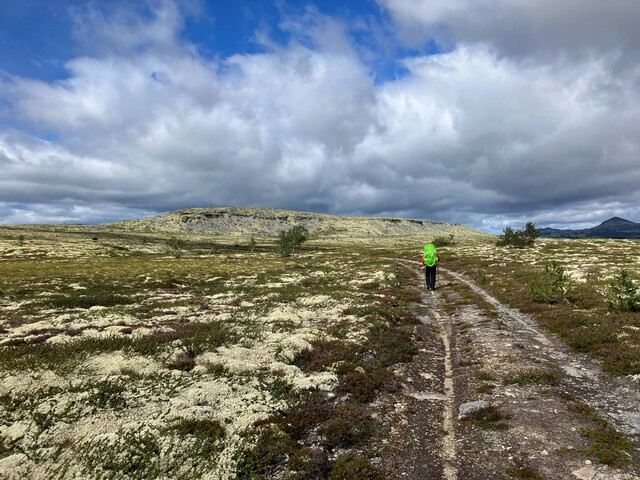 oster smedberget