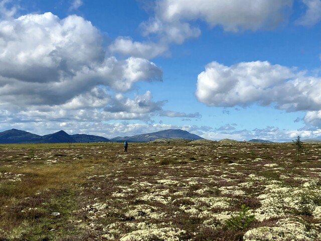 oster skarsabua snaufjellet