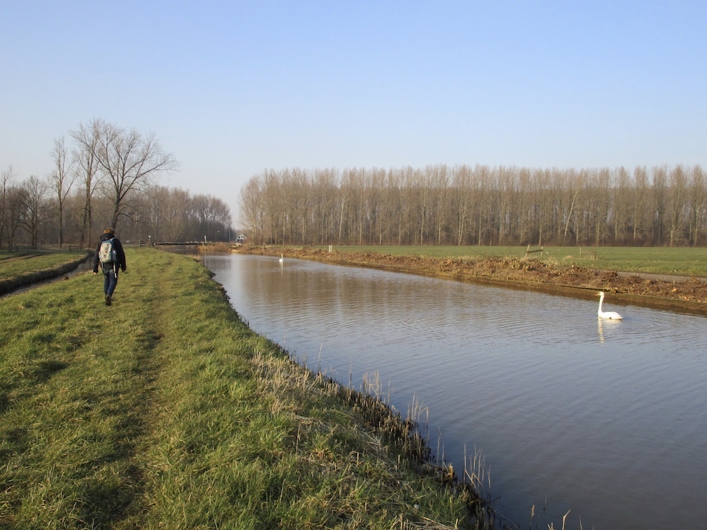 zuilen grasdijk