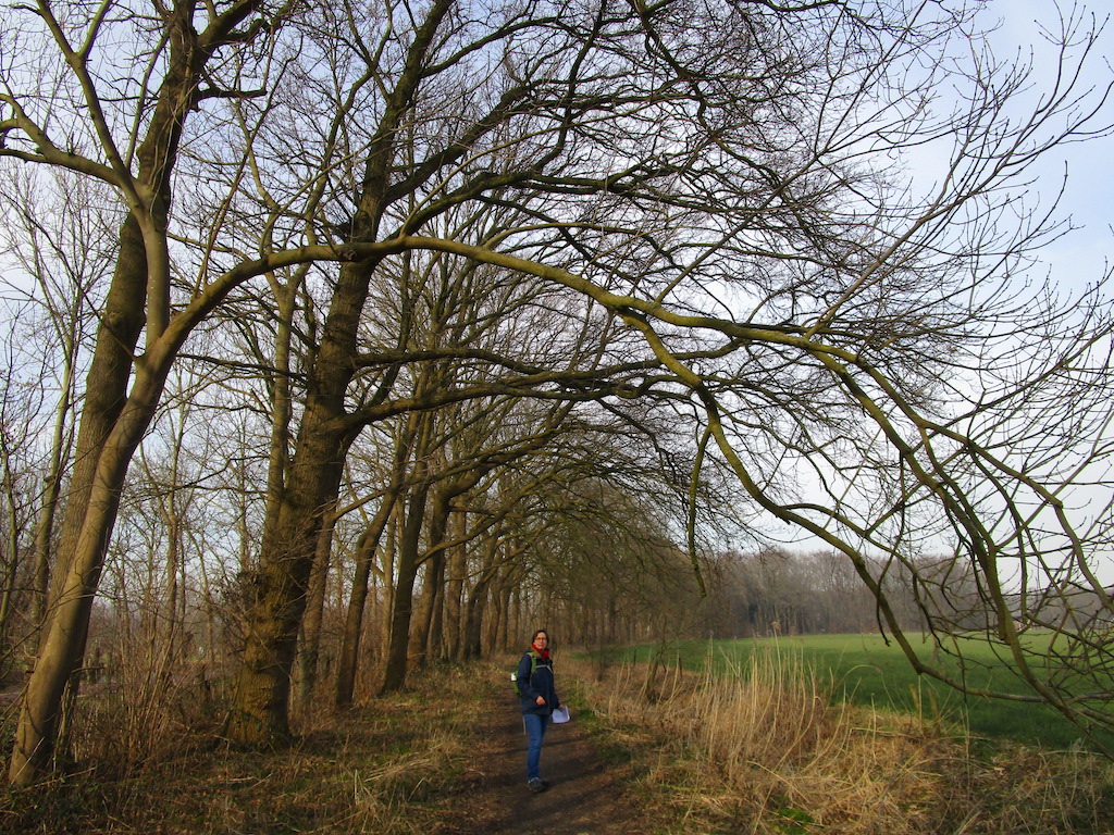 zuilen vecht