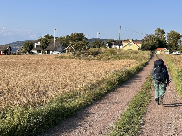 zweden 4202