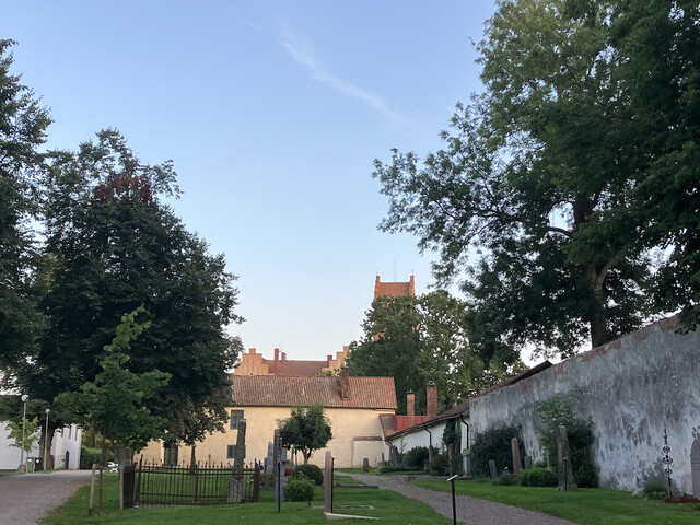 zweden nonnen