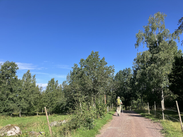 zweden 7477