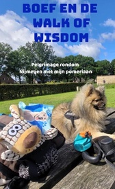 boef en de walk of wisdom