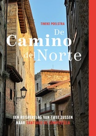 de camino del norte